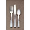 World Tableware Colony Stainless Steel Dinner Teaspoon, PK36 136-001